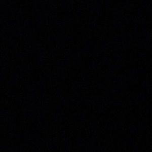 Meet your Posher, Darren